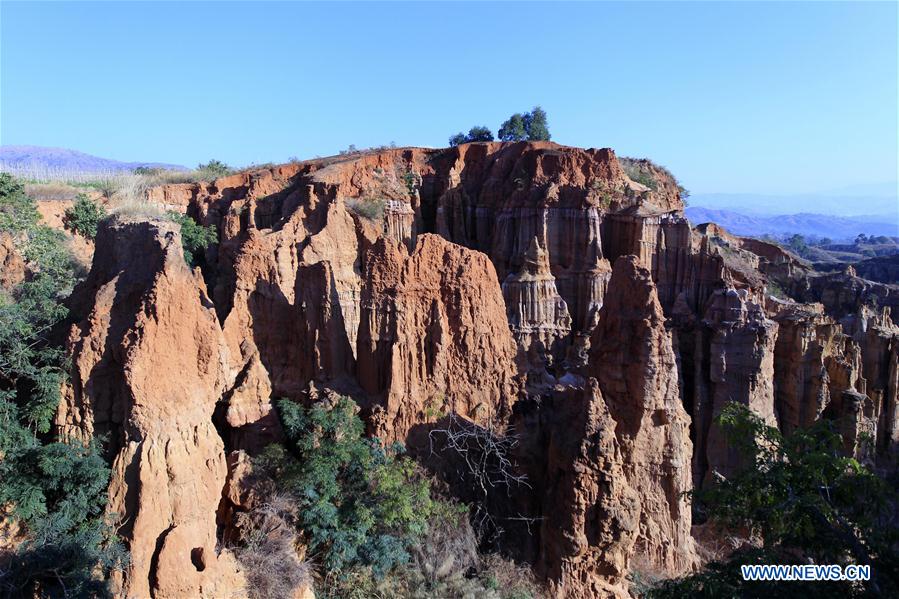 CHINA-YUNNAN-YUANMOU-EARTH FOREST (CN)