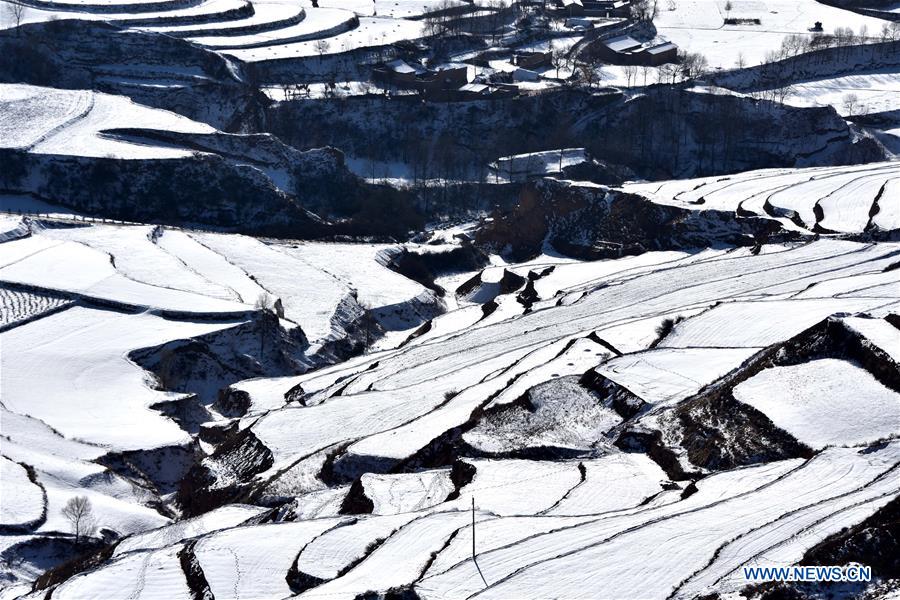 #CHINA-GANSU-TERRACE-SNOW(CN) 