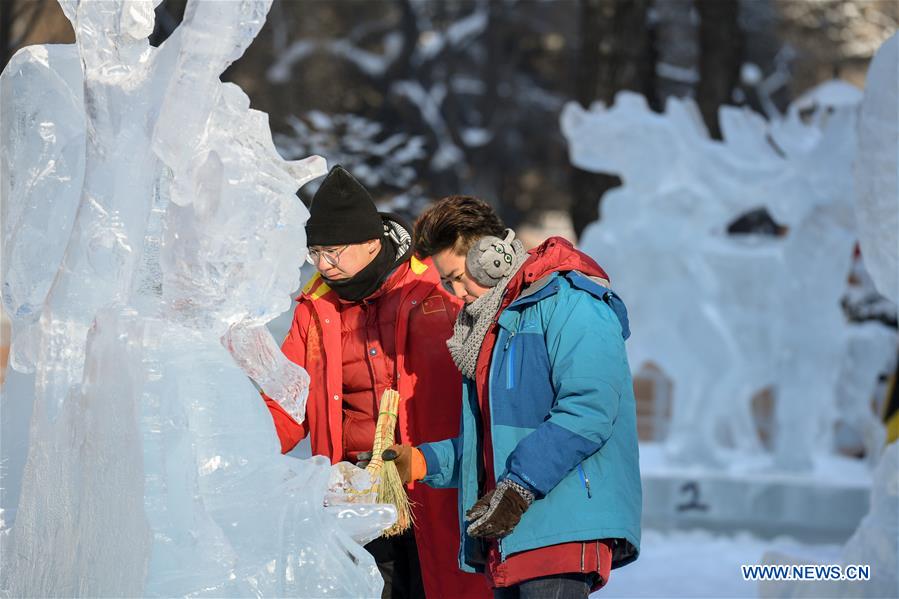 CHINA-HARBIN-ICE SCULPTURE-COMPETITION (CN) 