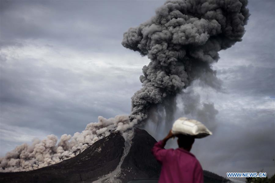 XINHUA-PICTURES OF THE YEAR 2017-WORLD