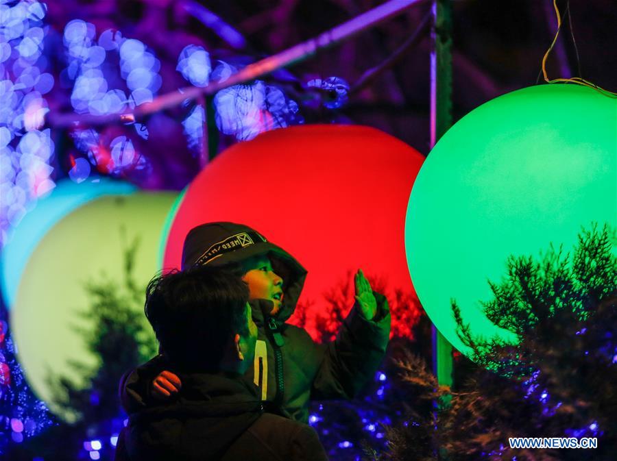 CHINA-BEIJING-SPRING FESTIVAL-LANTERN FAIR (CN)