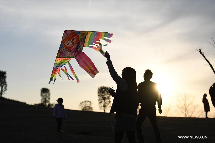 CHINA-SPRING-KITE (CN)