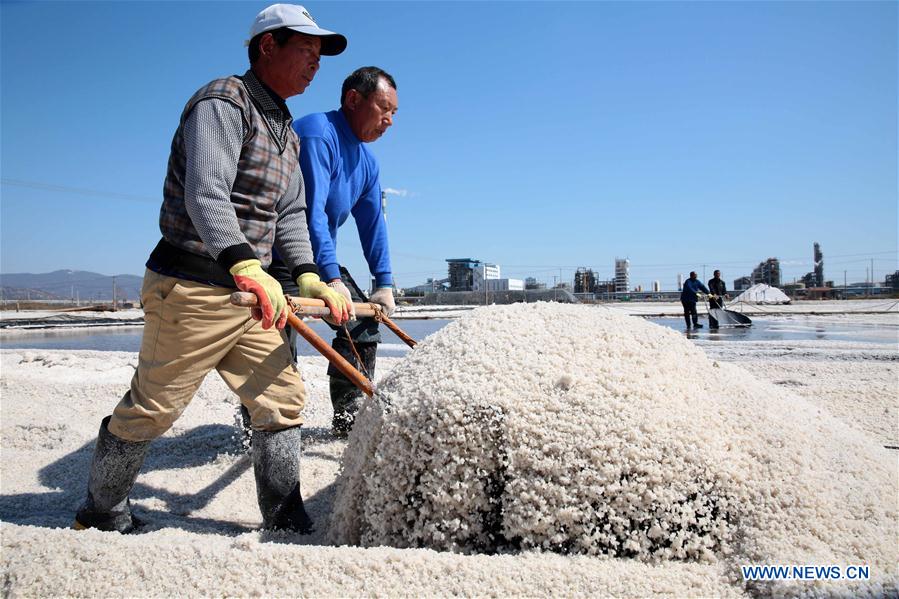 #CHINA-JIANGSU-SALT HARVEST (CN)