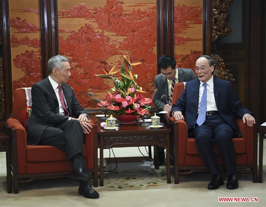 CHINA-BEIJING-WANG QISHAN-SINGAPOREAN PM-MEETING (CN)