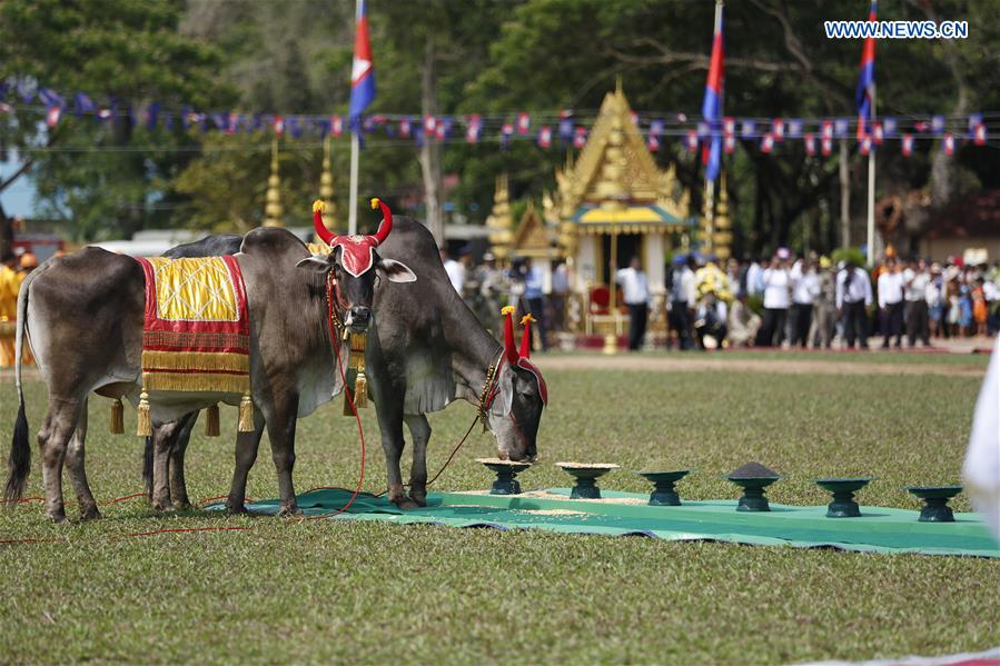 CAMBODIA-PHNOM PENH-PLOUGHING CEREMONY