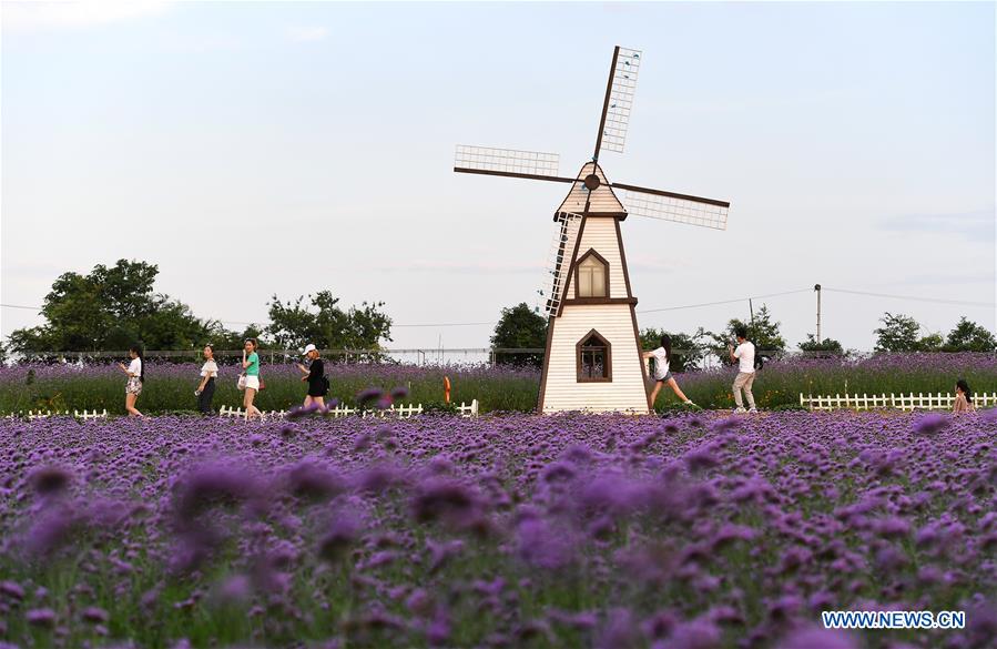 #CHINA-GUANGXI-LIUZHOU-FLOWERS (CN)