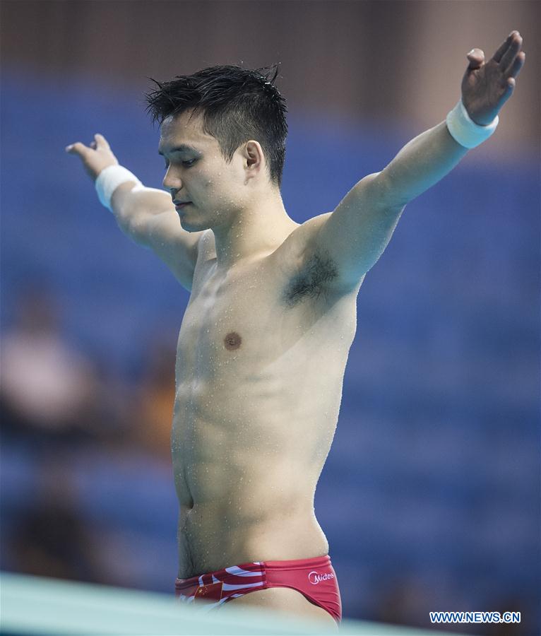 (SP)CHINA-WUHAN-DIVING-FINA-WORLD CUP (CN)