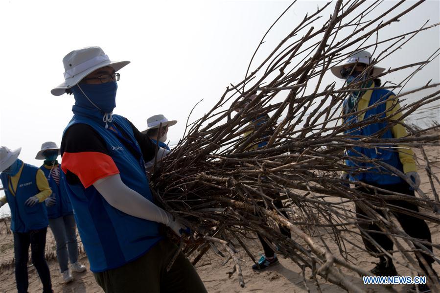 CHINA-INNER MONGOLIA-COLLEGE VOLUNTEER-DESERT CONTROL (CN)