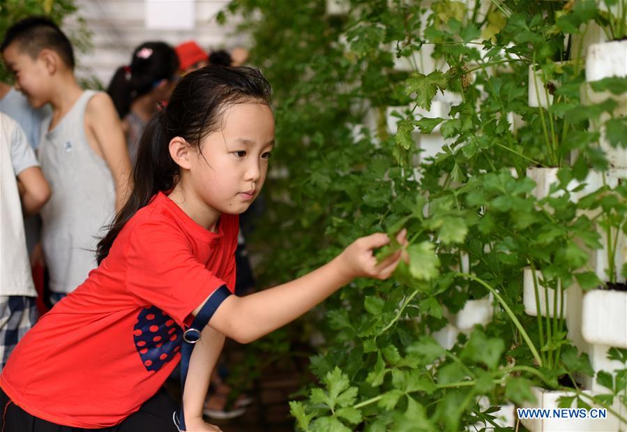 CHINA-HEBEI-HENGSHUI-CHILDREN-MODERN AGRICULTURAL GARDEN (CN)