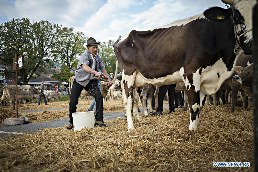 SWITZERLAND-APPENZELL-CATTLE SHOW