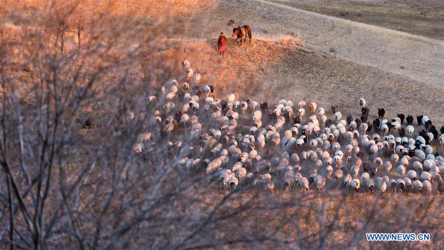 MONGOLIA-SCENERY-DAILY LIFE