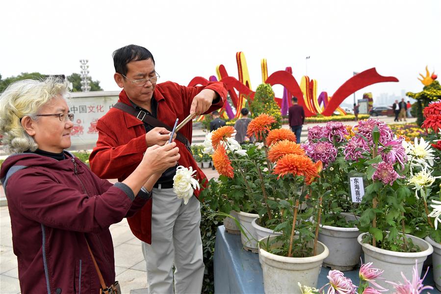 CHINA-JIANGXI-NANCHANG-CHRYSANTHEMUM SHOW (CN)