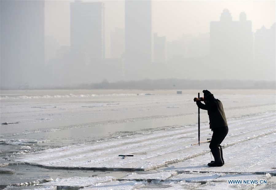 CHINA-HEILONGJIANG-HARBIN-ICE COLLECTING (CN)