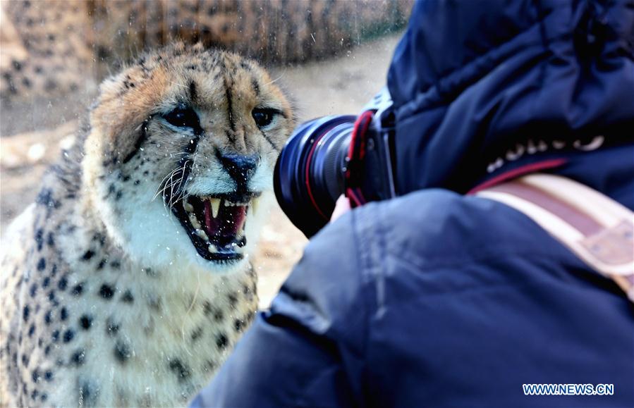 XINHUA PHOTOS OF THE DAY