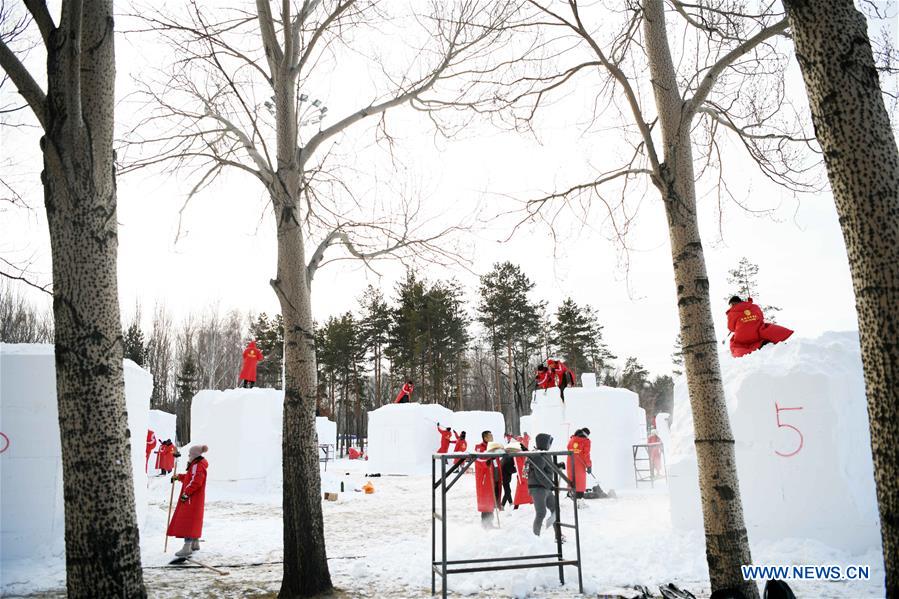 CHINA-HARBIN-COLLEGE STUDENTS-SNOW SCULPTURE COMPETITION (CN)