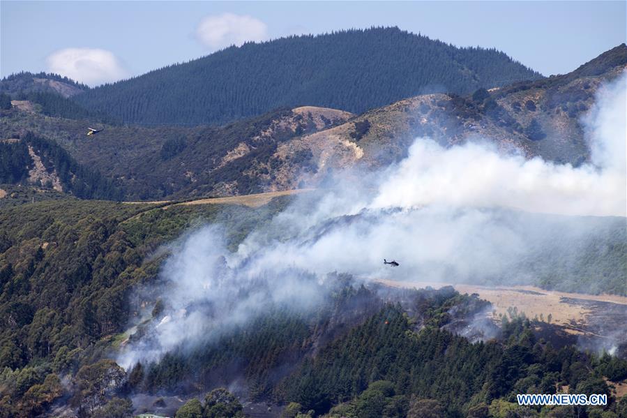 NEW ZEALAND-SOUTH ISLAND-WILDFIRE