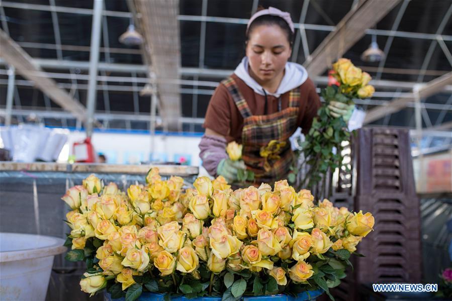 CHINA-YUNNAN-THAILAND-BANGKOK-FLOWER TRADE