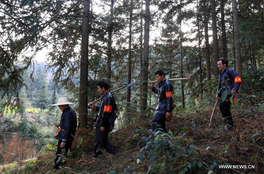 CHINA-GUIZHOU-LIPING-TREE PLANTING (CN)