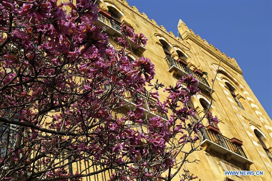 LEBANON-BEIRUT-SPRING-FLOWERS