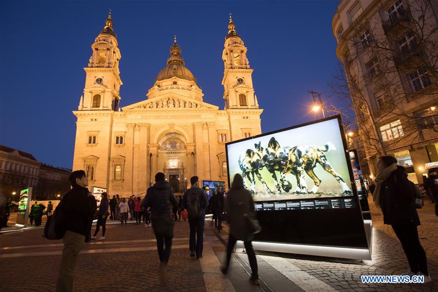 HUNGARY-BUDAPEST-NATURE PHOTO EXHIBITION