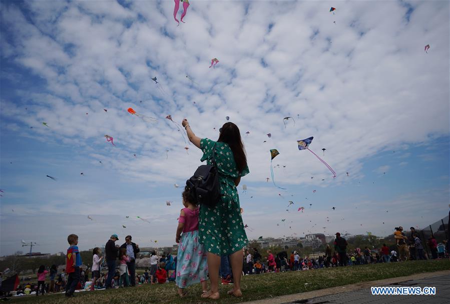 U.S.-WASHINGTON, D.C.-KITES