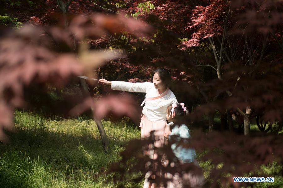 CHINA-ZHEJIANG-RED MAPLE (CN)