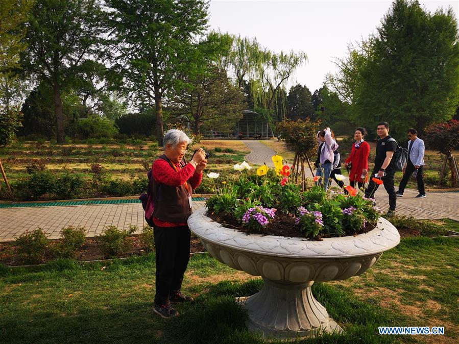 (BeijingCandid)CHINA-BEIJING-SPRING (CN)