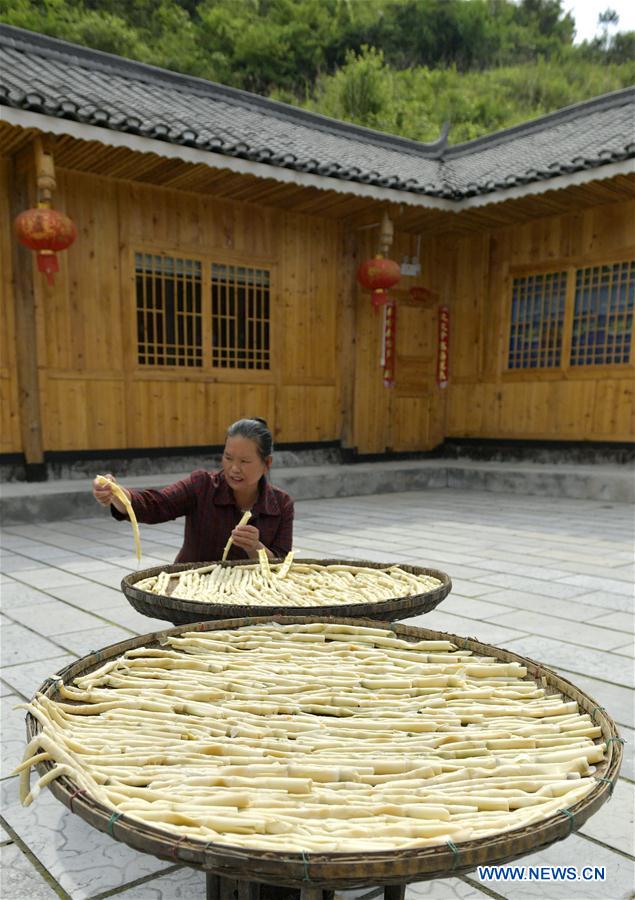 #CHINA-HUBEI-VILLAGE-TOURISM(CN)