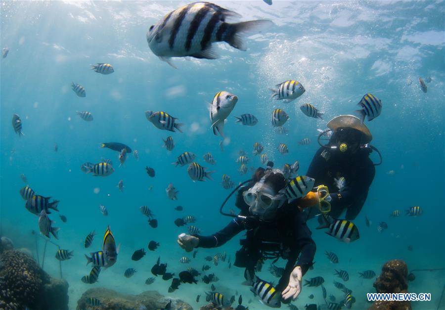 CHINA-HAINAN-BOUNDARY ISLAND-DIVING (CN)