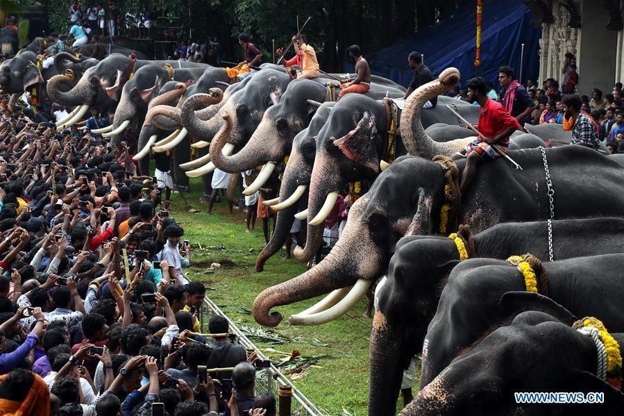 INDIA-THRISSUR-ELEPHANTS