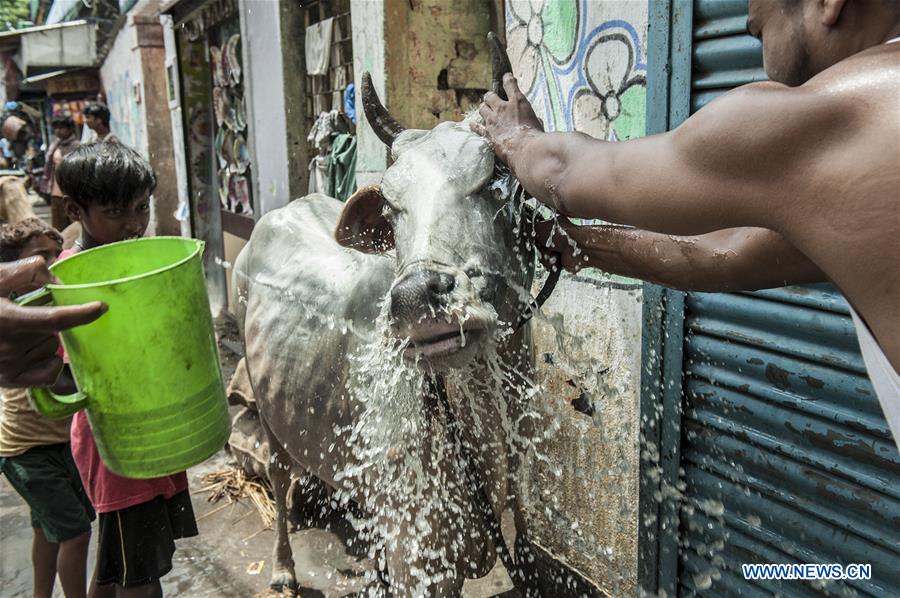 INDIA-KOLKATA-EID AL-ADHA-LIVESTOCK MARKET