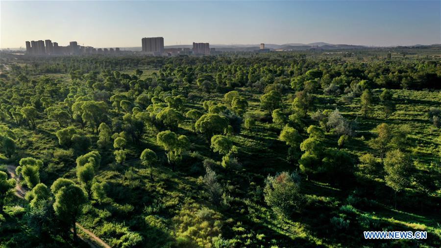 CHINA-SHAANXI-WETLAND SCENERY (CN)