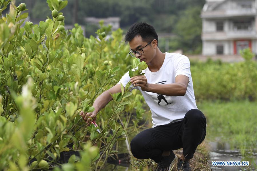 CHINA-GUANGXI-XINGYE-POVERTY ALLEVIATION EFFORTS(CN)