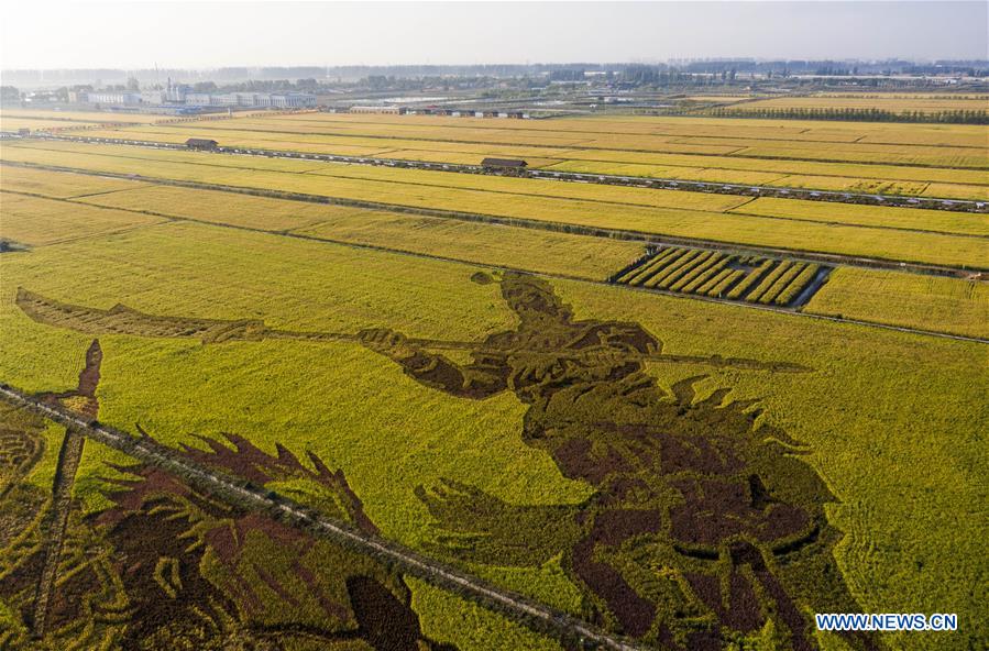 CHINA-HARVEST-AERIAL VIEW (CN)