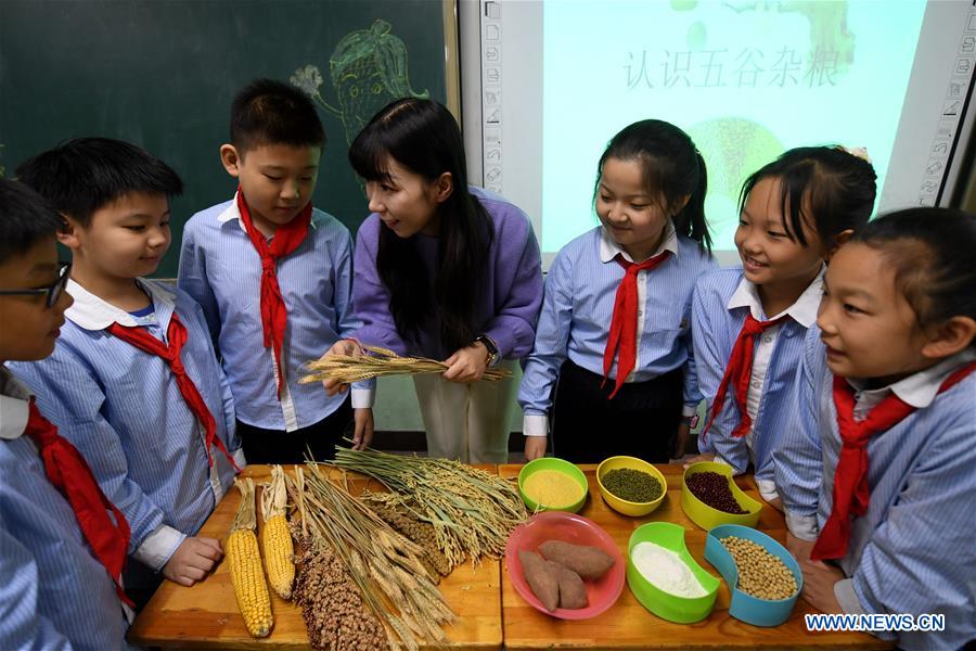 CHINA-HEBEI-WORLD FOOD DAY (CN)