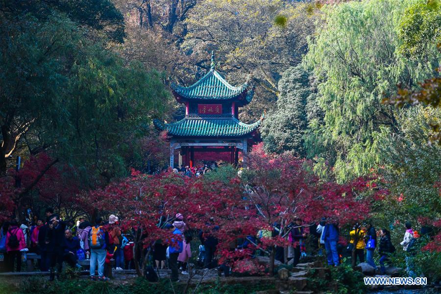 CHINA-HUNAN-CHANGSHA-MAPLE LEAF (CN)