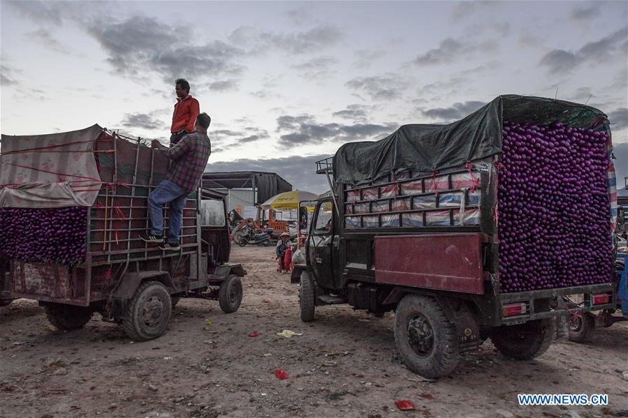 CHINA-HAINAN-VEGETABLE-PRODUCTION (CN)