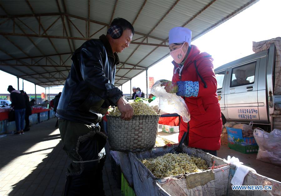 CHINA-NINGXIA-YINCHUAN-SPRING FESTIVAL MARKET (CN)