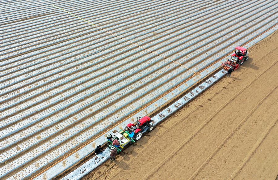 CHINA-SPRING PLOUGHING-AGRICULTURAL PRODUCTION (CN)