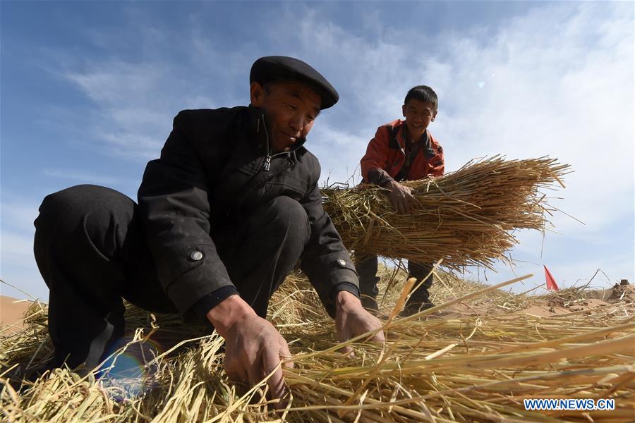 CHINA-GANSU-SPRING-DESERT CONTROL (CN)