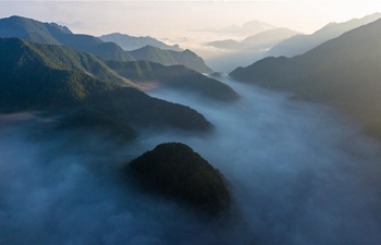 Scenery of Dajiuhu in Shennongjia, C China