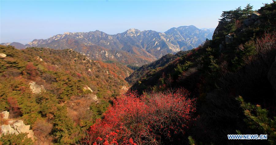 #CHINA-AUTUMN-SCENERY (CN)