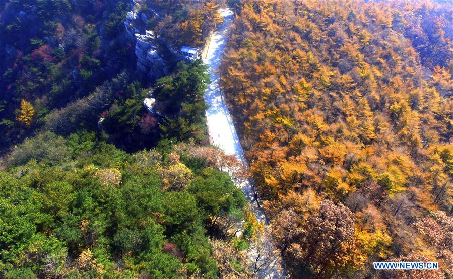 #CHINA-AUTUMN-SCENERY (CN)