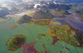 Scenery at Puzhehei national wetland park in SW China's Yunnan