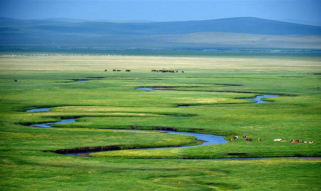 Pasture scenery in East Ujimqin Banner, N China's Inner Mongolia