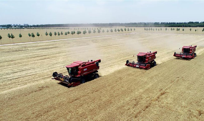 China's agriculture sector sees rapid growth over past 70 years