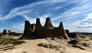 In pics: "soil forest" in Datong County of N China's Shanxi