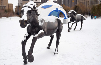 Snow scenery of Hohhot, N China's Inner Mongolia