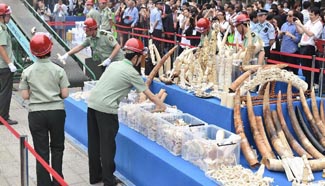 China destroys 662 kg of illegal ivory