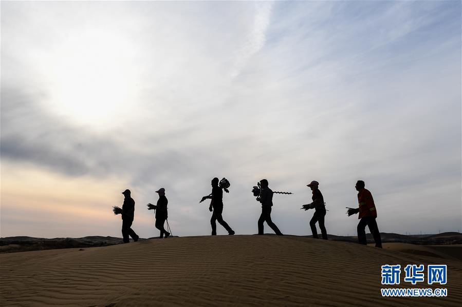 （权威访谈·聚焦中国经济亮点·图文互动）（11）防治土地荒漠化 推动绿色发展——专访国家林业和草原局副局长刘东生